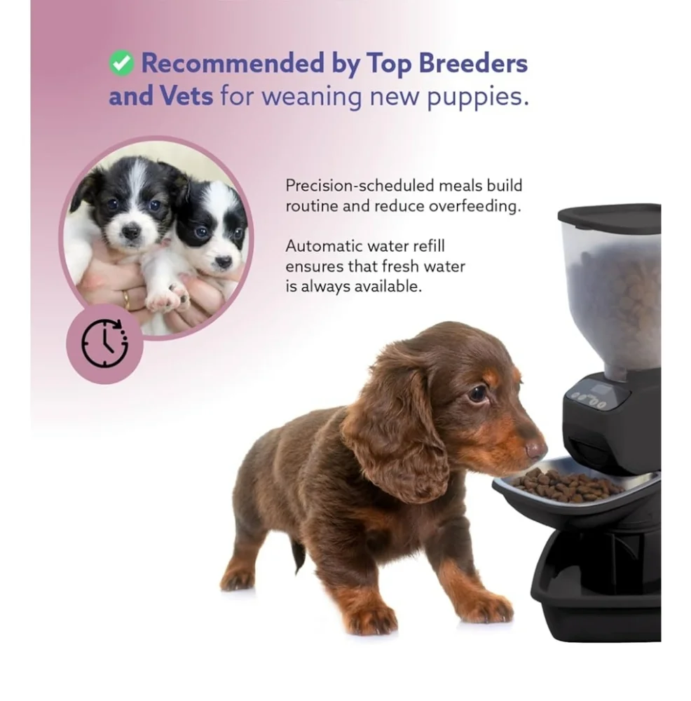 Automatic Dog Cat Food Feeder